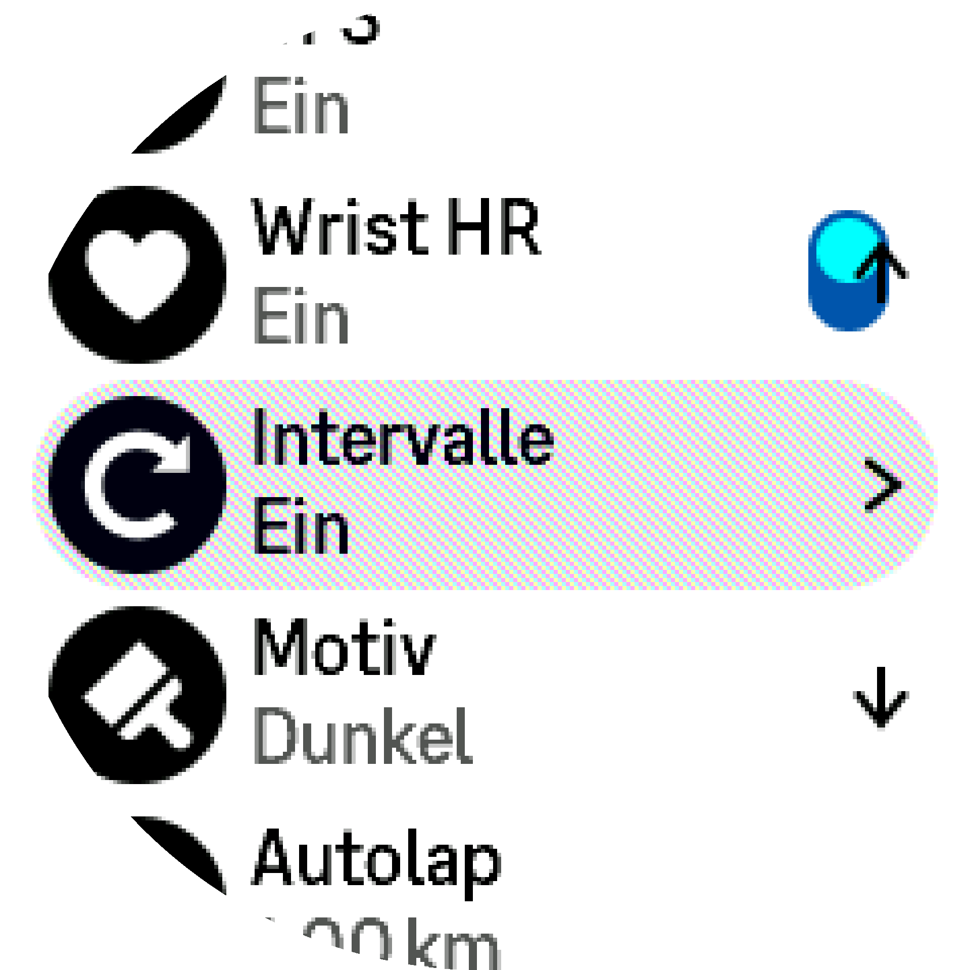 Einstellungen für Intervalltraining S9PP
