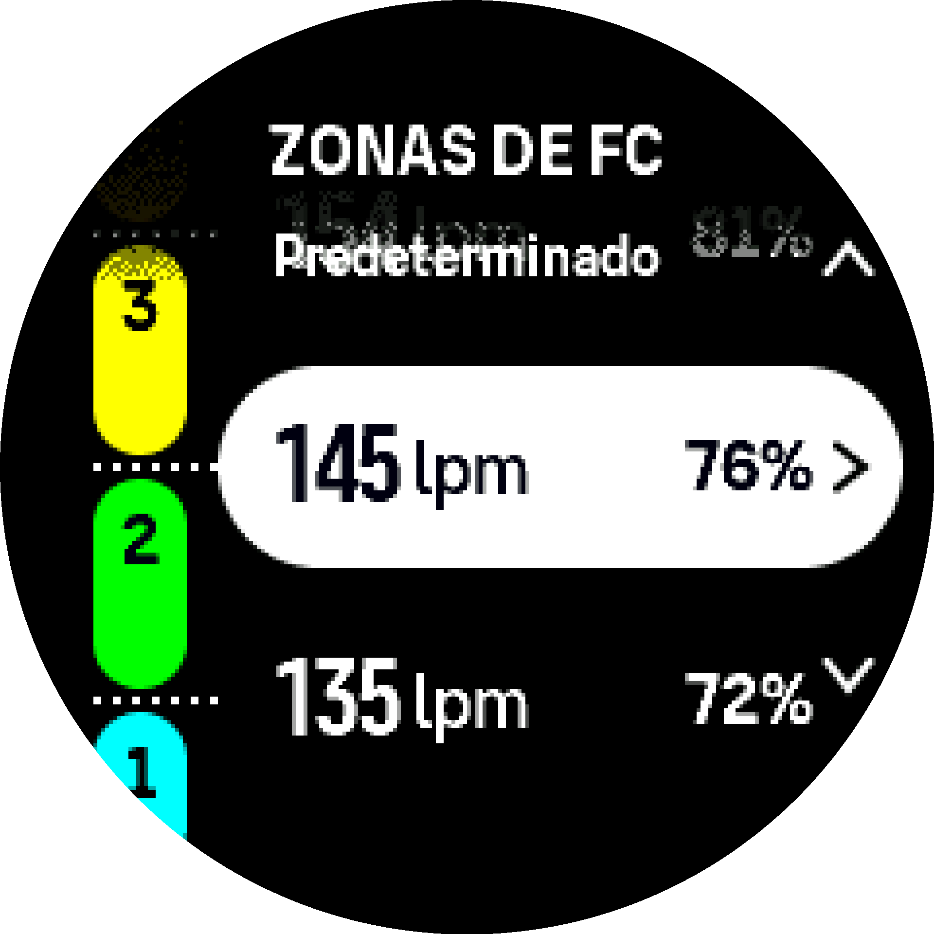 Default HR zone S9PP